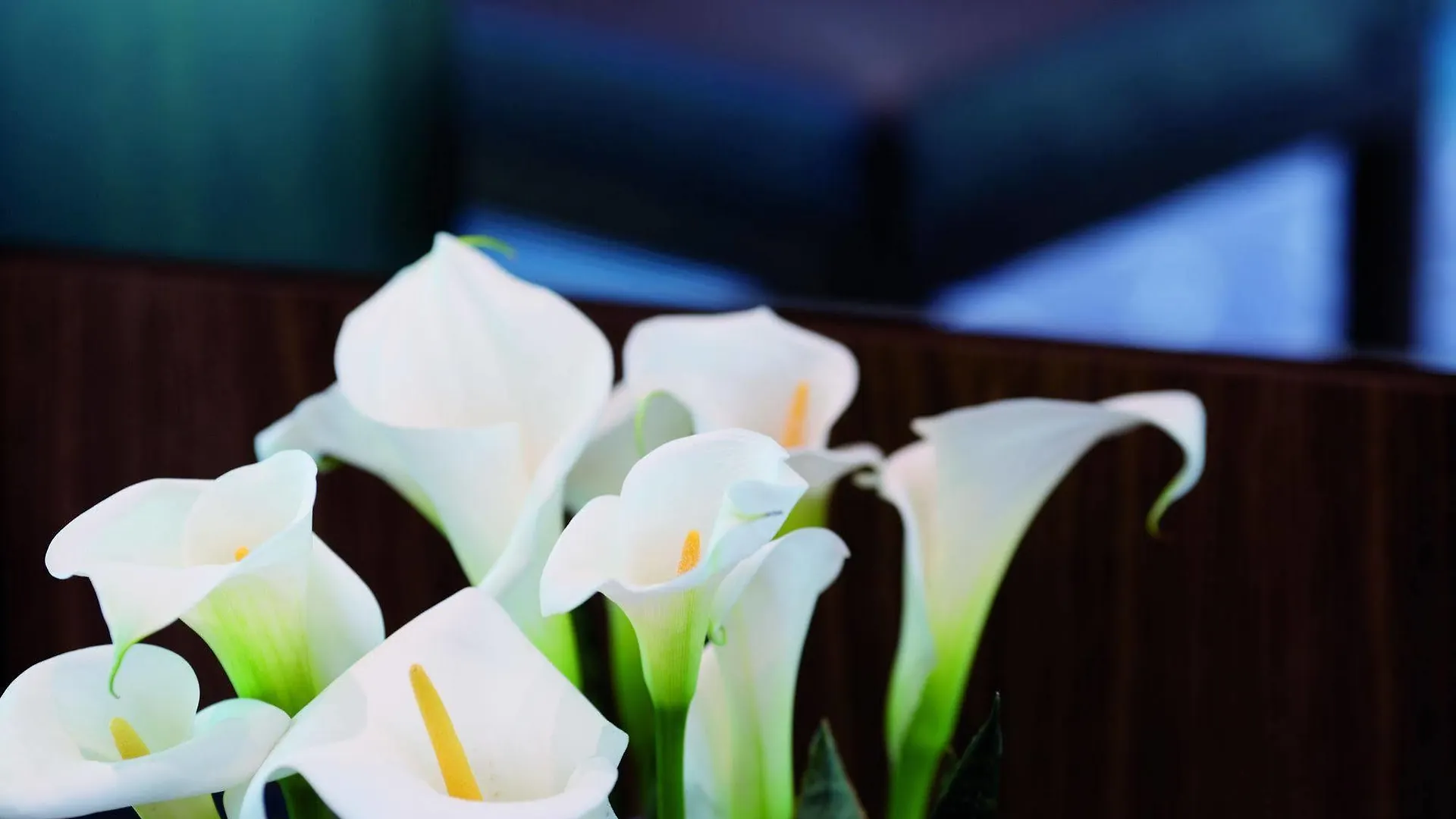 Moevenpick Hotel Frankfurt City Messe Frankfurt am Main